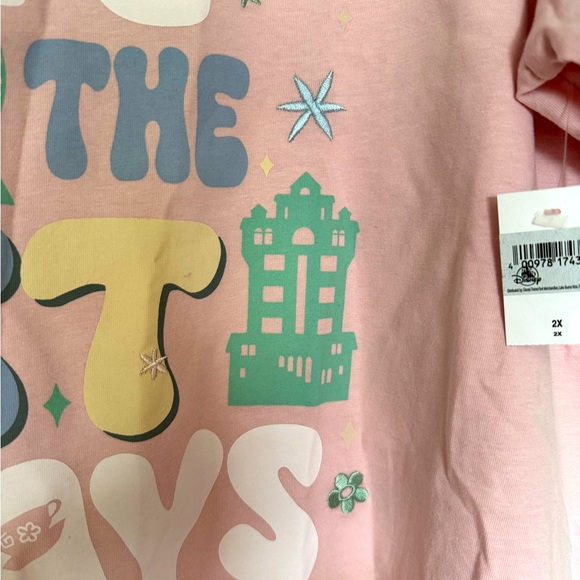 Disney Parks Icons Women's "Park Days Are The Best Days" Pink T-Shirt (2X) - Picture 12 of 16